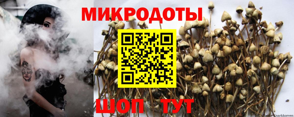 Заречный  Галлюциногенные грибы Cubensis  Вход с VPN 