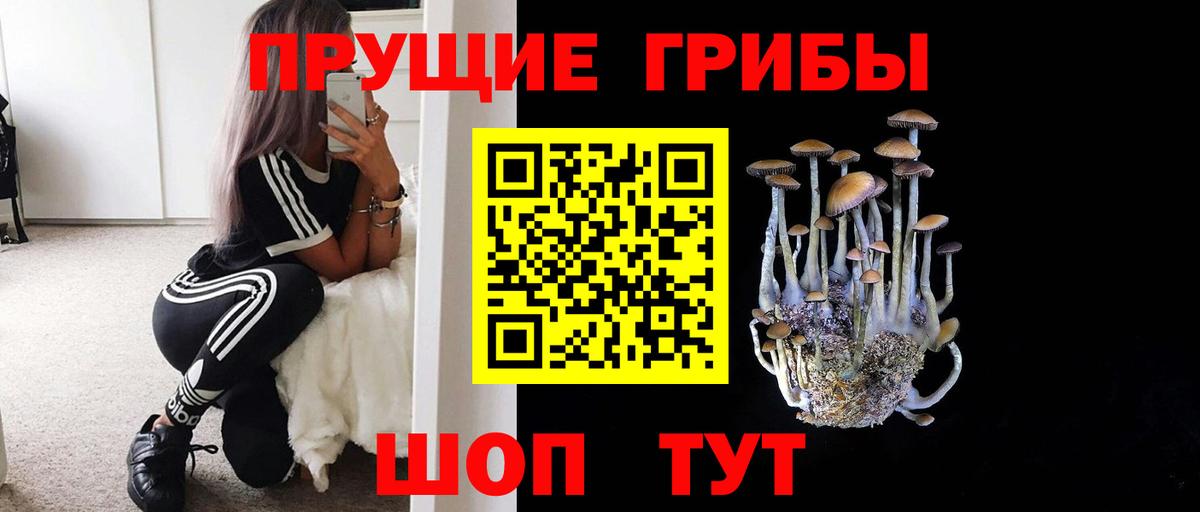 Псилоцибиновые грибы GOLDEN TEACHER Заречный